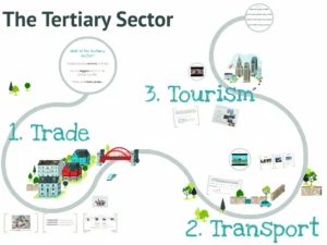 Tertiary Sector